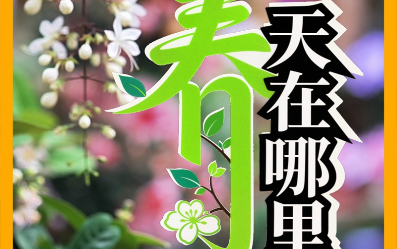 봄은 어디에? 린이 개나리꽃 시장에 있습니다!