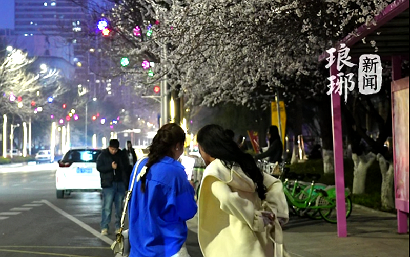 린이 최고의 버스정류장 2.0 버전 공개