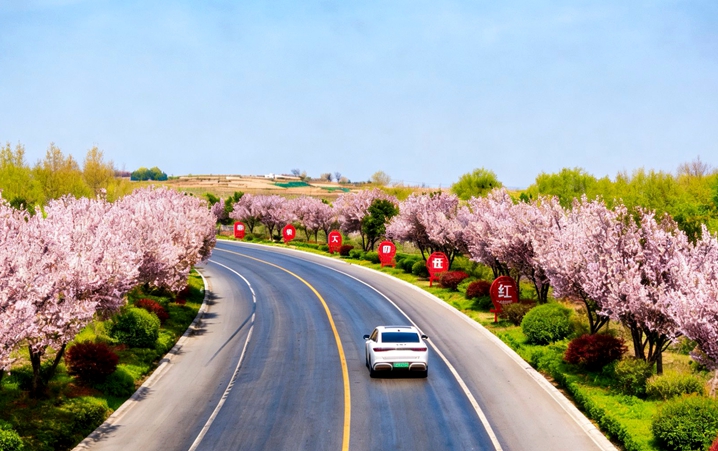 린이：도로 원활하고 경치 아름다워 봄철 경제 활성화