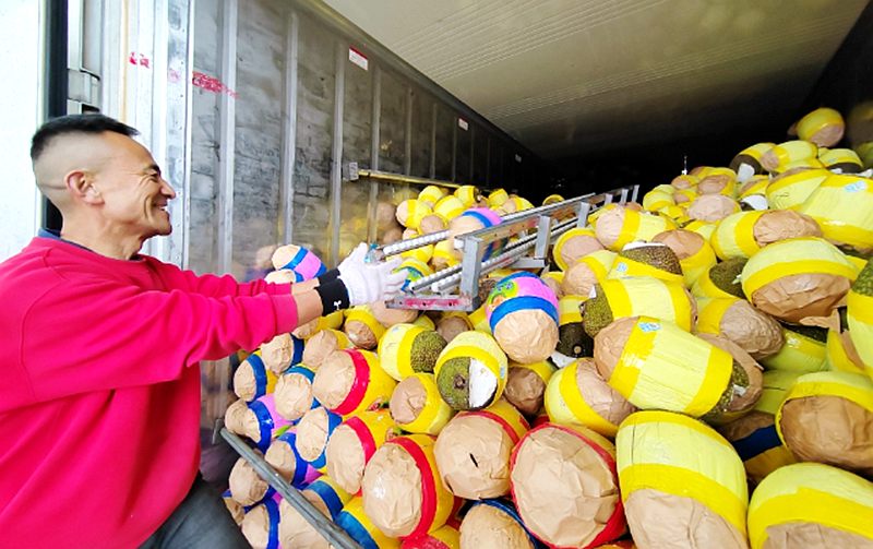 린이고신구, 과일시장 '달콤한 그림' 그리다